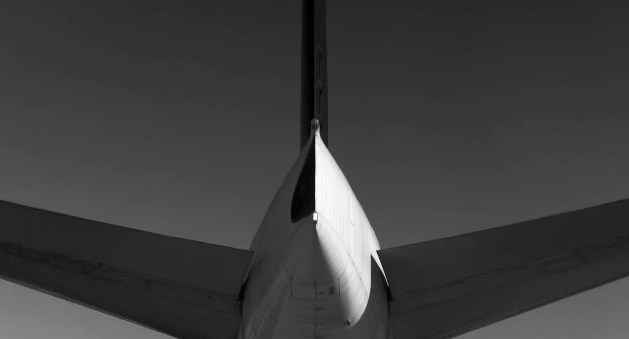 Human Factor (Delta Airlines)