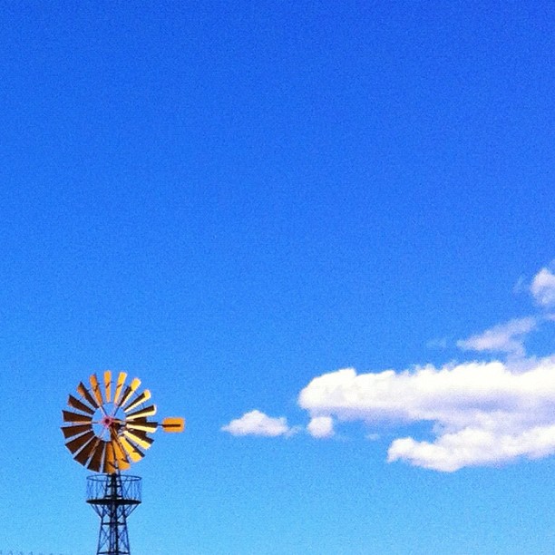 ¿Me das tu boligrafo para escribir poesía?